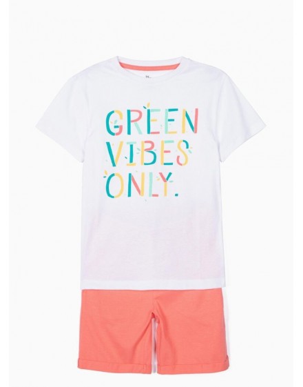 Conjunto Green Vives