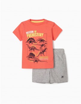 Conjunto BB Prehistory ZIPPY