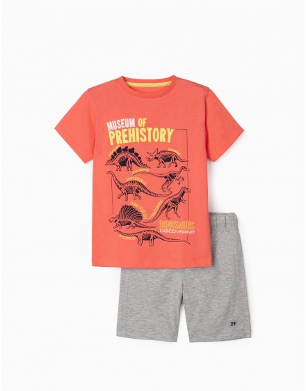 Conjunto Niño Prehistory ZIPPY