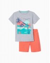 Conjunto Tropical ZIPPY